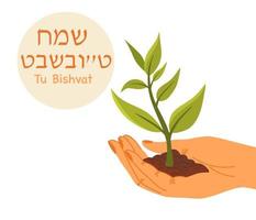 happy tu bishvat auf hebräisch. hand, die grünes sprossenkonzept hält. pflanzen der veränderung. neujahr für bäume, jüdischer feiertag. vektorkarikaturillustration lokalisiert auf dem weißen hintergrund. vektor