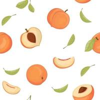 sömlös mönster med persikor, uppsättning av vektor persikor. sommar frukt samling. färsk trädgård frukt klotter, organisk organisk vegan Produkter