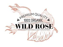 Wildrose Premium Qualität 100 Prozent Bio vektor