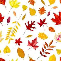Herbstlaub, fallende Blätter des Herbstsaisonvektors vektor