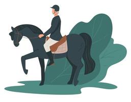 jockey stigande häst, tävlings hobby, häst- fritid vektor