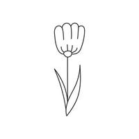 hand gezeichnete illustration von blumen vektor