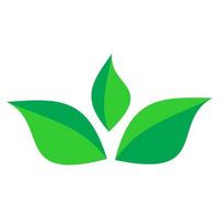 grüne Naturblatt-Logo-Vorlage. vektor