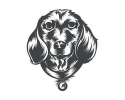 Dackelhunderasse-Vektorillustration, Dackelhundevektor auf weißem Hintergrund für T-Shirt, Logo und andere vektor