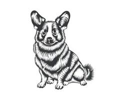 cardigan corgi hund vektor illustration silhuett för t-shirt, logotyp, märken på vit bakgrund