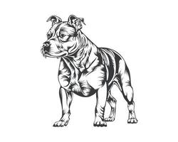 Pitbull-Hunderasse-Vektorillustration, Pitbull-Hundevektor auf weißem Hintergrund für T-Shirt, Logo und andere vektor