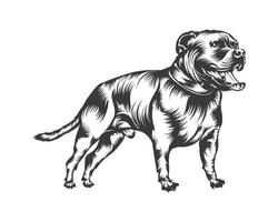 Pitbull-Hunderasse-Vektorillustration, Pitbull-Hundevektor auf weißem Hintergrund für T-Shirt, Logo und andere vektor
