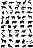 Sammlung von Tieren. eine vektorabbildung vektor