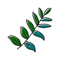 Zamioculcas tropisches Blatt Farbe Symbol Vektor Illustration