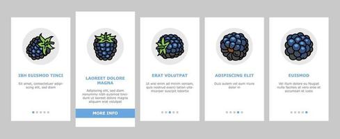 Blackberry Fruit Berry Black Food Onboarding Icons Set Vector