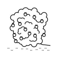 Pflanze Himbeerfrucht Symbol Leitung Vektor Illustration
