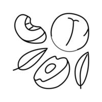 Saftiger Pfirsich Schnittlinie Symbol Vektor Illustration