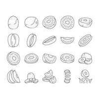kiwi frukt grön färsk skiva ikoner uppsättning vektor