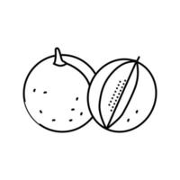 Schneiden Sie grüne Melone Cantaloupe-Linie Symbol Vektor Illustration