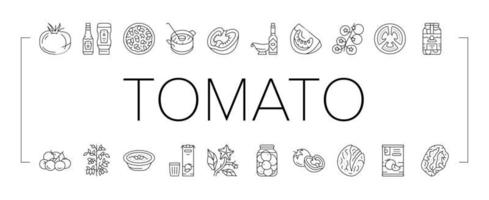 tomat naturlig vitamin vegetabiliska ikoner uppsättning vektor