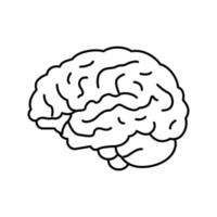 hjärnan anatomi organ linje ikon vektor illustration