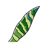 Sansevieria Blatt tropische Farbe Symbol Vektor Illustration