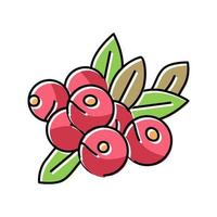 Cranberry Beere Farbe Symbol Vektor Illustration