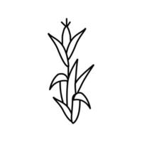 Maispflanze grüne Linie Symbol Vektor Illustration