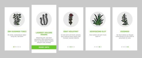 vatten- tång naturlig växt onboarding ikoner uppsättning vektor