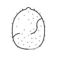kiwi frukt linje ikon vektor illustration