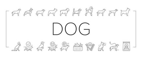 hund haustier sammlung symbole set vektor