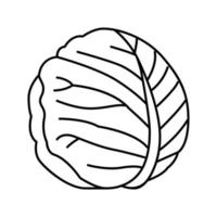 Weißkohl Symbol Leitung Vektor Illustration