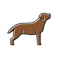 labrador retriever hund färg ikon vektorillustration vektor