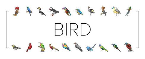 fågel exotisk djur- natur vild ikoner uppsättning vektor