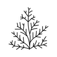 Zedernpflanze Aromatherapie Farbsymbol Vektor isolierte Illustration
