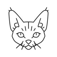 devon rex katt söt sällskapsdjur linje ikon vektor illustration