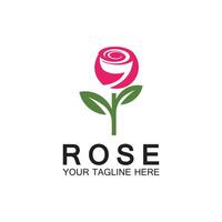 rose logo blume vektor symbol illustration design