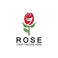 rose logo blume vektor symbol illustration design