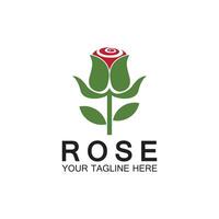 rose logo blume vektor symbol illustration design