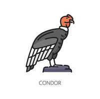 Kondor Adler Vogel isoliert Symbol von Argentinien vektor