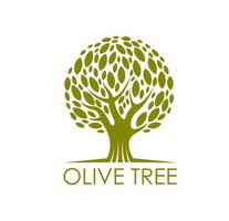 Olive Baum, natürlich Produkt Symbol oder Symbol vektor