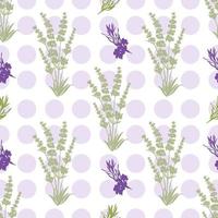 nahtloser lavendel blüht hintergrund. Botanische Illustration. vektor