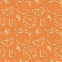 Hand gezeichnet Gliederung Orangen nahtlos Muster mit Blumen, Blätter und Orange Scheiben. Vektor Grafik Sommer- Obst Hintergrund Design zum Speisekarte, Paket, Küche Textil, Verpackung Papier.