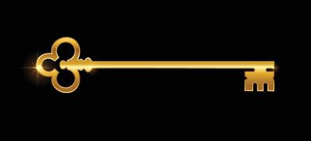 goldenes Schlüsselvektorzeichen vektor