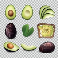 Avocado realistisch einstellen vektor
