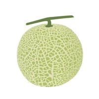 Cantaloup-Melone Melone, Obst Vektor Illustration 10