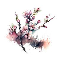 Frühling Blumen Kirsche Blüten und fallen Blütenblätter Hintergrund-Aquarell Illustration vektor