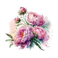 Vektor Lager Blume Illustration, Rosa Pfingstrose auf ein Weiß Hintergrund. Aquarell Stil