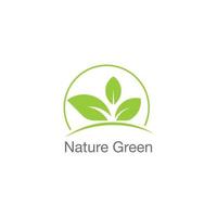 eco grön blad , en modern symbol av naturens kraft vektor