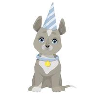 grå söt hund sitter i en blå födelsedag keps vektor