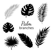 einstellen von Palme Blätter Silhouetten isoliert auf Weiß Hintergrund. vektor