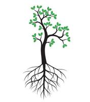 grönt vårträd med rötter. vektor illustration.