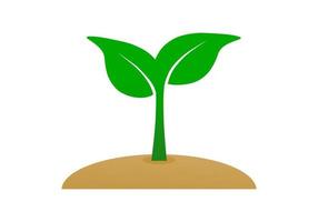 Grün Baum Aussaat eben Vektor Symbol Logo Öko