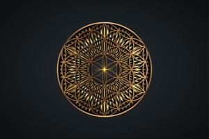 Blume des Lebens, goldenes spirituelles Mandala, heilige Geometrie. helle goldene strahlende strahlen symbol für harmonie und gleichgewicht. mystischer Talisman, luxuriöser runder Vektor einzeln auf schwarzem Hintergrund