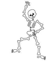komisch Karikatur Tanzen Skelett. süß Grafik zum Halloween. fortsetzen isoliert Illustration auf Weiß Hintergrund. vektor